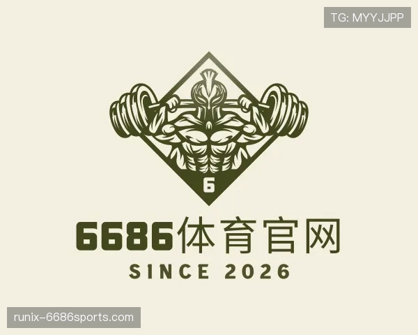 介绍6686